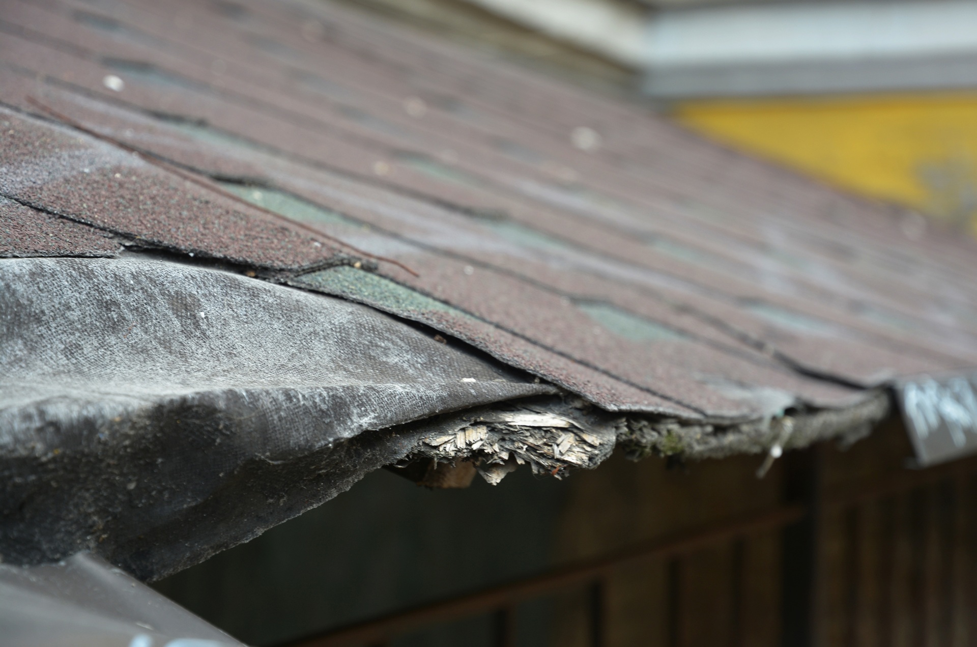 Most Common Roofing Problems in UK Homes