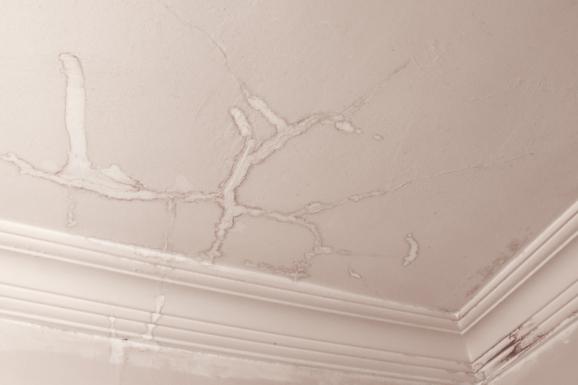 The Most Common Causes of Roof Leaks (And Where They Usually Start)