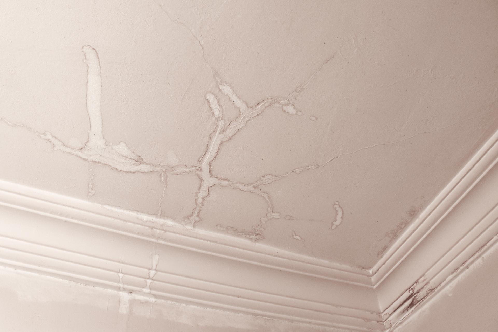 Areas We Cover for Emergency Roofing in London