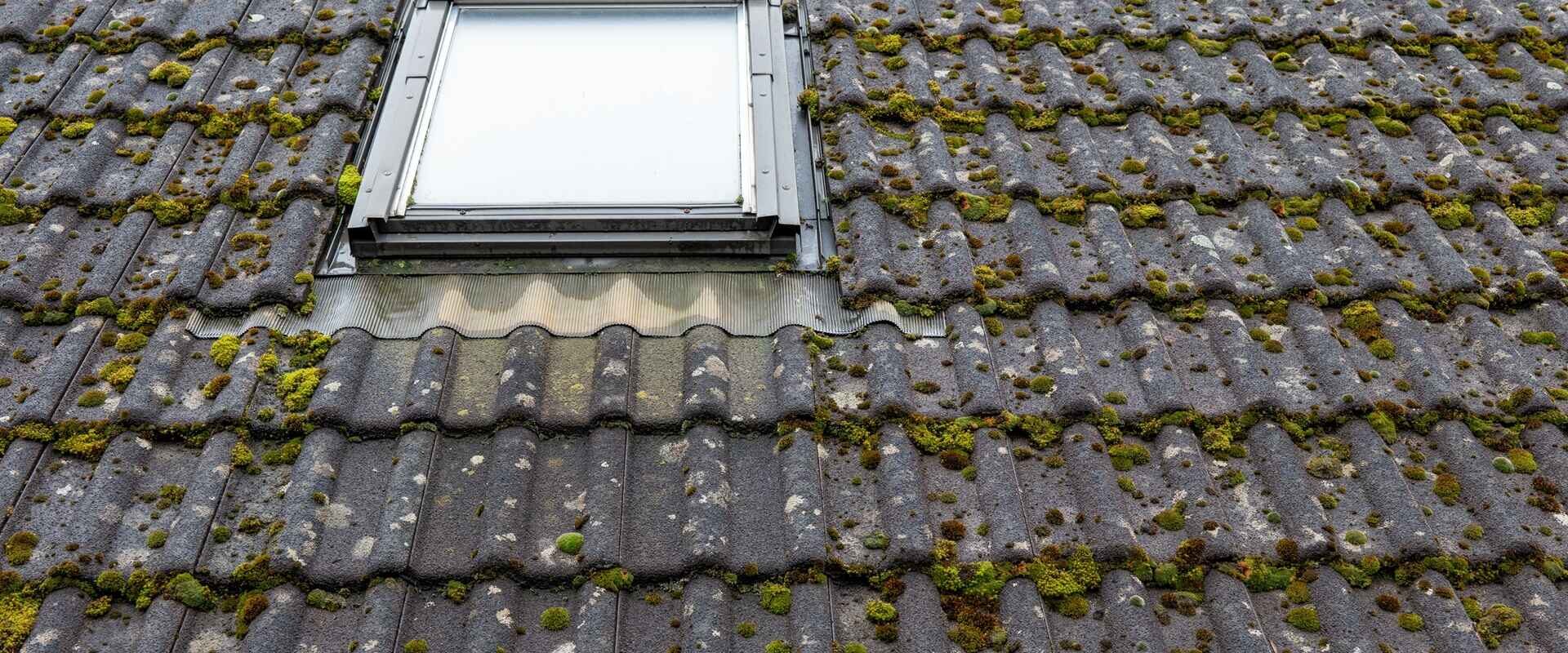 Why Moss on Your Roof Could Cost You Thousands
